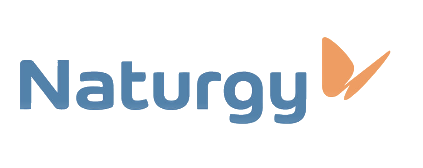 Naturgy