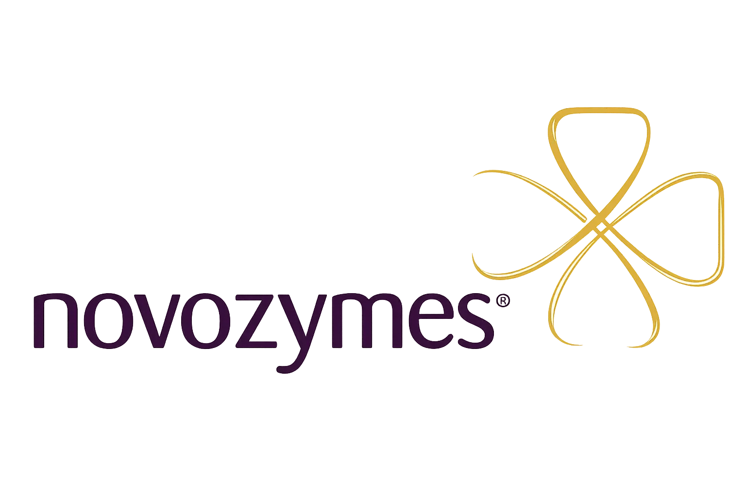 novozymes novozymes