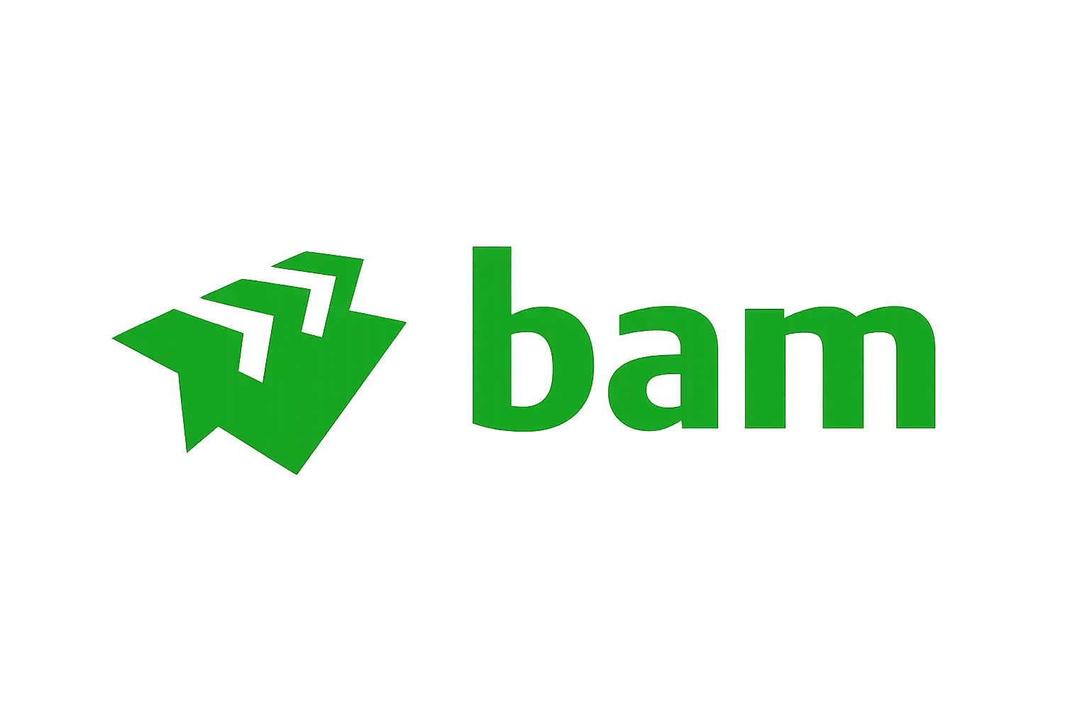 Koninklijke BAM groep NV WEBP